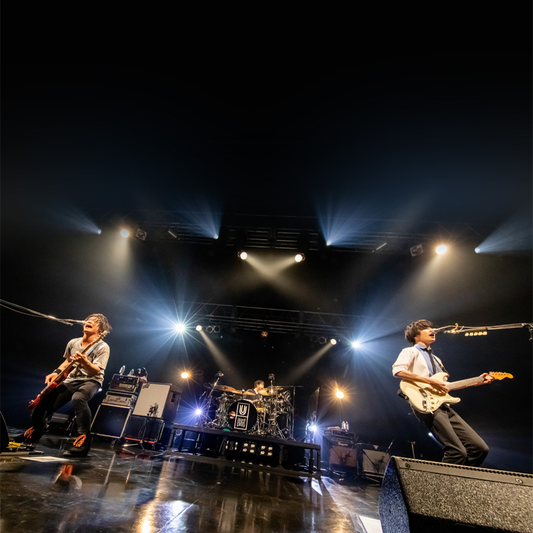 UNISON SQUARE GARDEN revival tour Spring